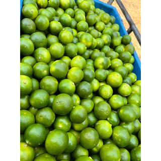 มะปี๊ด(ส้มจี๊ด) น้ำหนัก 1 กก. จากจังหวัดจันทบุรี