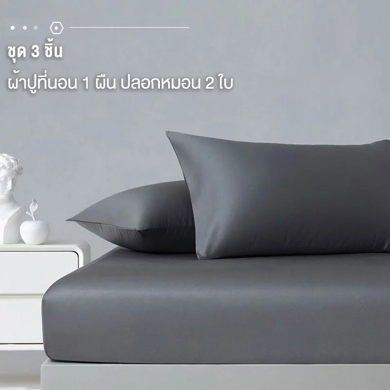 ผ้าปูที่นอนกันไรฝุ่น สีพื้น สำหรับเตียง 3.5ฟุต/5ฟุต/6ฟุต thumbnail 9