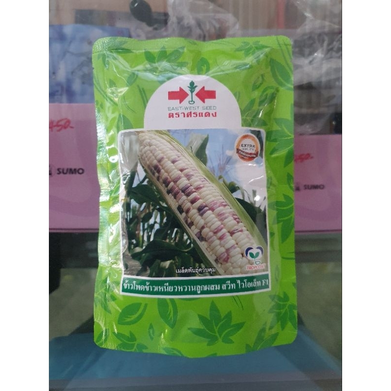 เมล็ดข้าวโพดข้าวเหนียว สวีทไวโอเล็ท F1 ตรา ศรแดง 1000 เมล็ด หวานอร่อย (ม่วง) เมล็ดข้าวโพด