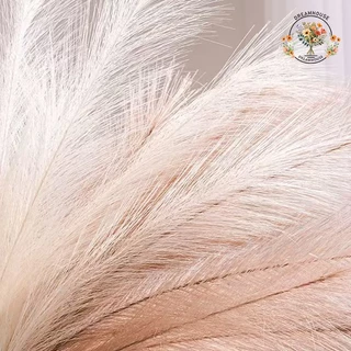 จําลองช่อดอกไม้ Reed Fur Panpas หญ้าห้องนั่งเล่นพืชสีเขียวตกแต่งบ้านการถ่ายภาพงานแต่งงาน(พร้อมส่ง)