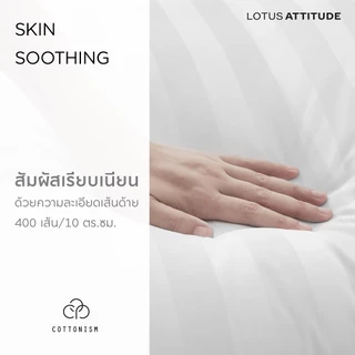 LOTUS ATTITUDE หมอนหนุนรุ่น Cottonism Pillow เย็นสบาย ลดภูมิแพ้ รองรับสรีระคอ ส่งฟรี