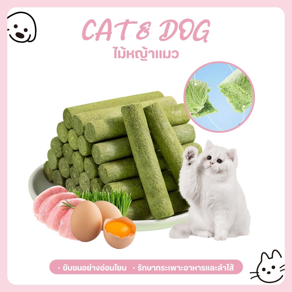 【CAT&DOG】หญ้าแมวฟรีซดราย หญ้าแมวแห้ง ต้นอ่อนข้าวสาลี หญ้าแมวแท่ง ขนมหญ้าแมว ผลิตจากต้นอ่อนข้าวสาลี