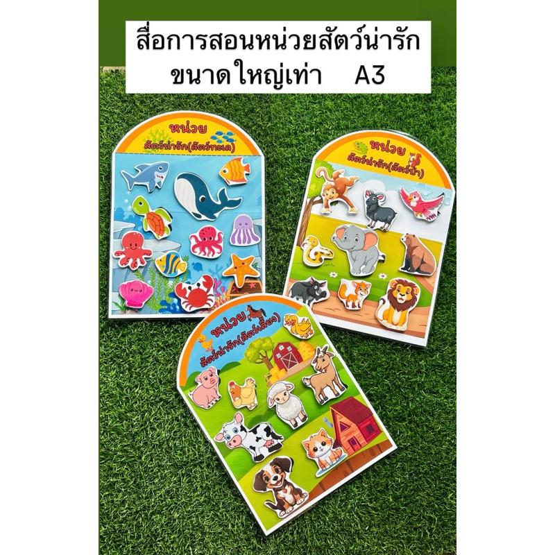 สื่อการสอนหน่วยสัตว์น่ารัก สื่อการสอนปฐมวัย ขนาดใหญ่เท่า A3