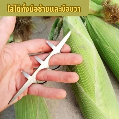 อุปกรณ์ปอกเปลือกข้าวโพด สิ่งประดิษฐ์ช่วยทางการเกษตร thumbnail 6