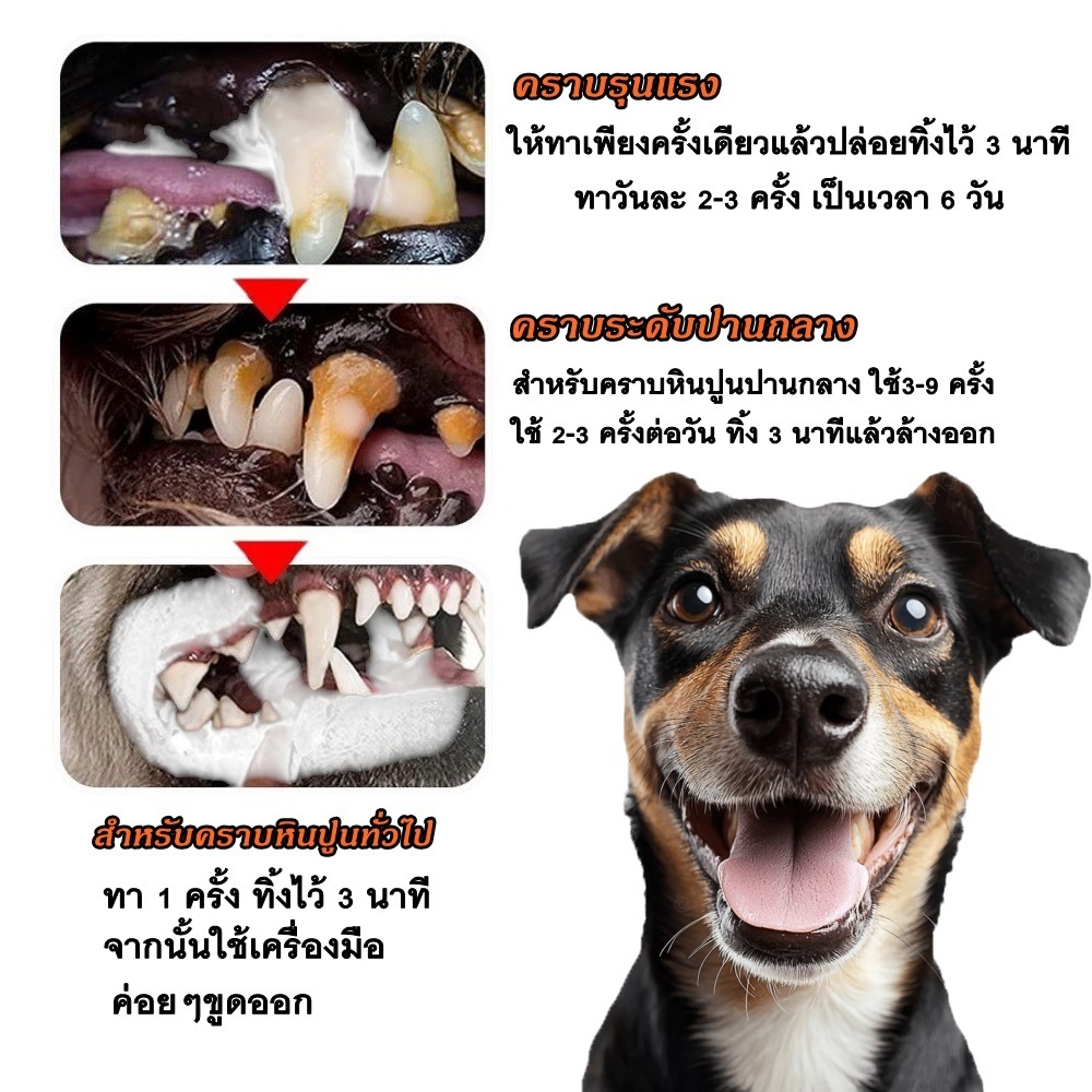Thai.th ปากกาแปรงฟันสำหรับสัตว์เลี้ยง ขจัดคราบหินปูน คลีนซิ่ง ไวท์เทนนิ่ง ระงับกลิ่นปาก Toothbrush