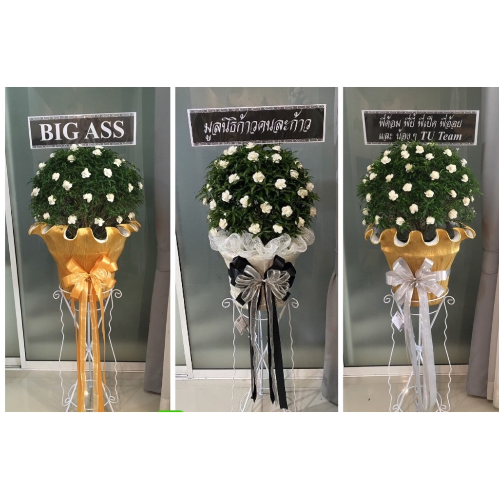 พวงหรีดต้นพุดศุภโชค พวงหรีดต้นไม้ สูงประมาณ 160-170 ซม. ส่งฟรี กทม.