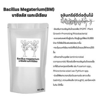 เชื้อจุลินทรีย์ตัวดีตระกูลบาซิลลัสbacillus streptomyces azot…