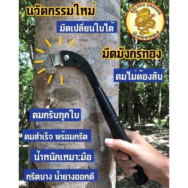 มีดกรีดยาง มังกรทอง(รุ่นเปลี่ยนใบ) ลับคมแล้ว พร้อมใช้งาน ใช้ทนคมนาน คุ้มค่าต้องลอง (แถมใบมีด 1 ใบ)