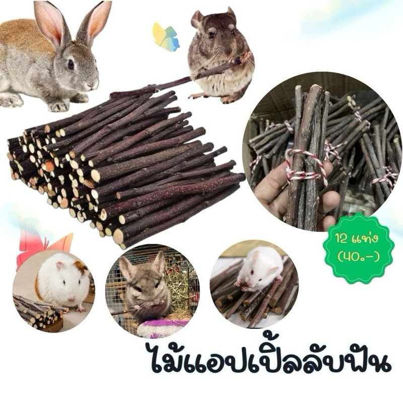 ไม้แอปเปิ้ลแทะเล่นสำหรับสัตว์ฟันแทะ
