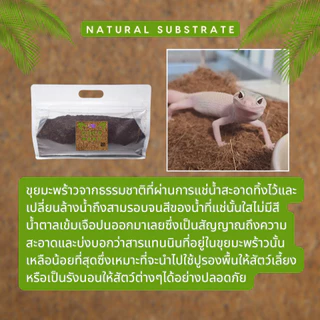 [ส่งด่วน] Coco Peat 2L ขุยมะพร้าวปลอดสารพิษ เป็นมิตรต่อสัตว์เลี้ยง เก็บกลิ่น ทำความสะอาดง่าย