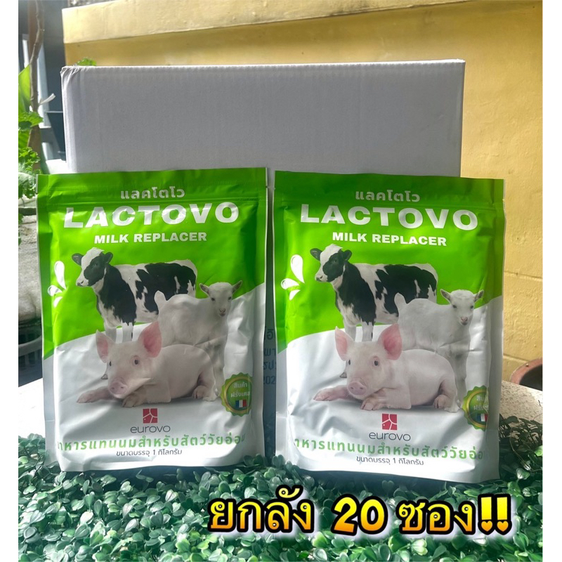 นมผงสำหรับลูกสัตว์ Lactovo แลคโตโว่ ยกลัง 20 ซอง คุ้มกว่า‼️