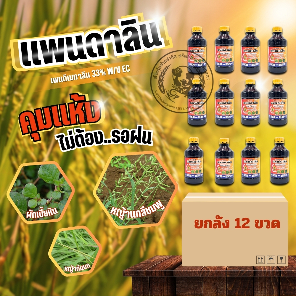 ยกลัง 12 ขวด แพนดาลิน ( เพนดิเมทาลิน) ตรายักษ์ใหญ 1ลิตร ยาคุม ใช้ก่อนวัชพืชงอก ในอ้อย ข้าว มันสำปะหรั่ง เพื่อกำจัดวัชพืช