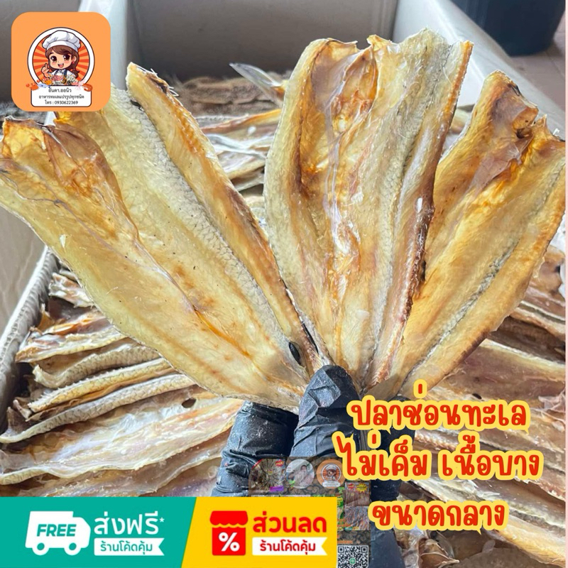 ปลาช่อนทะเลตากแห้ง ขนาด500 กรัม ไซส์กลาง เนื้อบาง ตัวสวยรสชาติอร่อย ออกมัน กลมกล่อม ไม่เค็ม และ ก็ไม่จืดพอดีกิน แนะนำจ้า