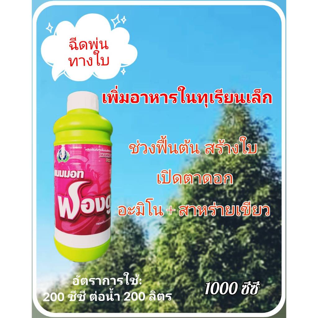 แมมมอท ฟองดู ขนาด 1 ลิตร แมมมอท ฟองดู ขนาด 4 ลิตร สาหร่าย อะมิโน สร้างใบ เปิดตาดอก