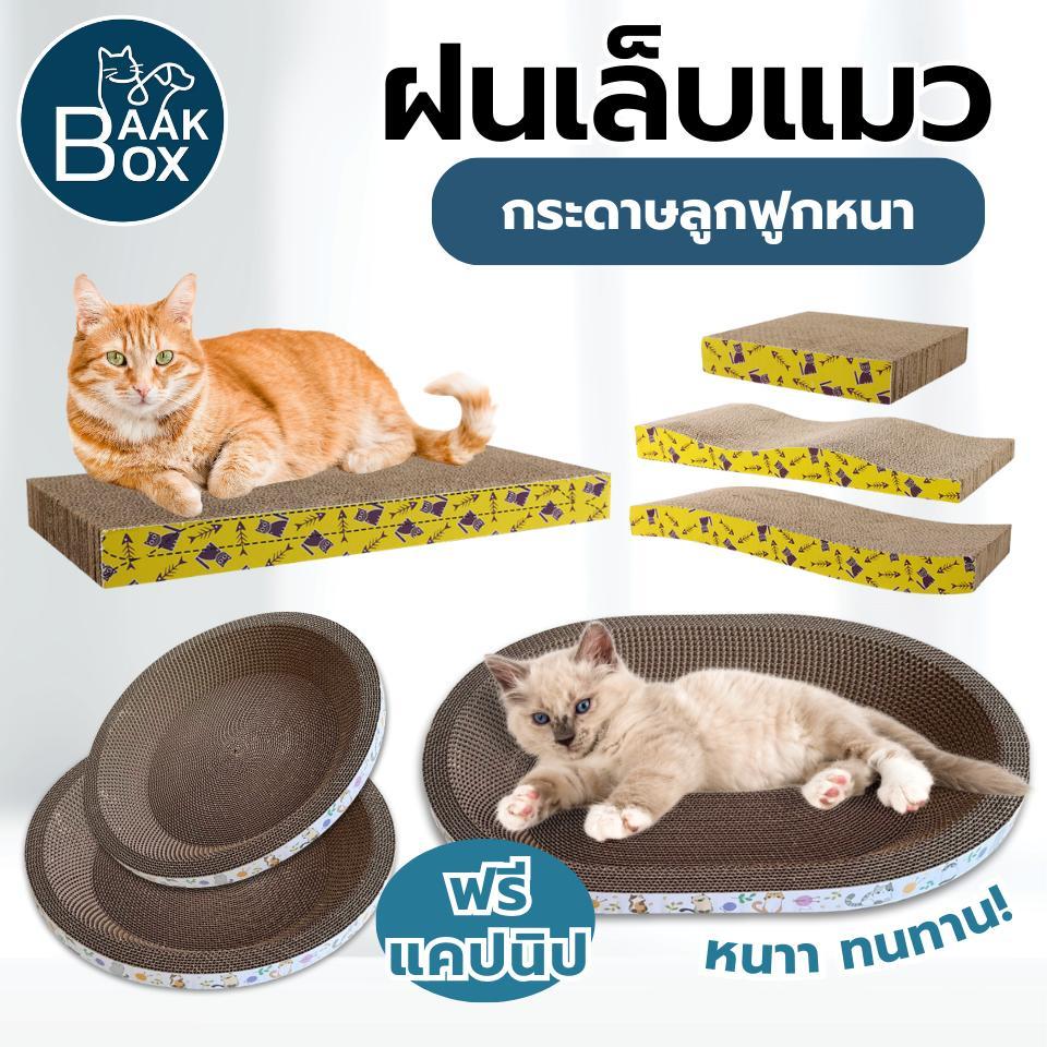 ที่ข่วนเล็บแมว ที่ฝนเล็บแมว แคปนิป ไซส์จัมโบ้ ที่ฝนเล็บพร้อมเป็นของเล่นแมวไปในตัว เพลิดเพลิน ราคา ถูกที่สุด ดีลบีเคเค