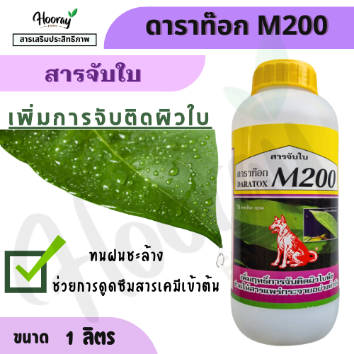 ดาราท๊อก M200 หมาแดง 4 ลิตร (สารจับใบ) ช่วยเพิ่มประสิทธิภาพการจับติดผิวใบ ทนฝน