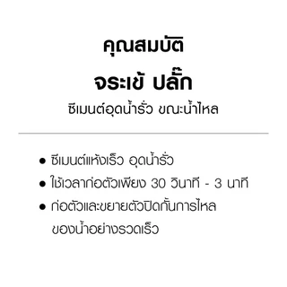 จระเข้ ปลั๊ก ซีเมนต์แห้งเร็ว อุดน้ำรั่ว เนื้อปูนแห้งเร็ว สำหรับใช้ปะหรืออุดรอยรั่ว ขนาด 4.5 กก.