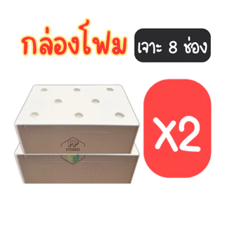 กล่องโฟมปลูกผักไฮโดรโปนิกส์ เจาะ 8 ช่องชุด 4 ใบ กล่องโฟมชุด 4 ใบ พร้อมปลูก (ชุด 4 ใบ มือ 1)