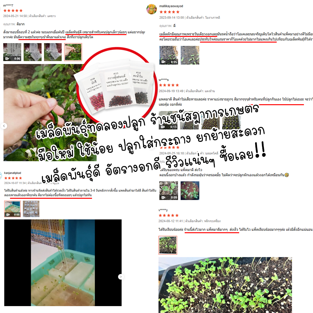 รูปภาพ 5