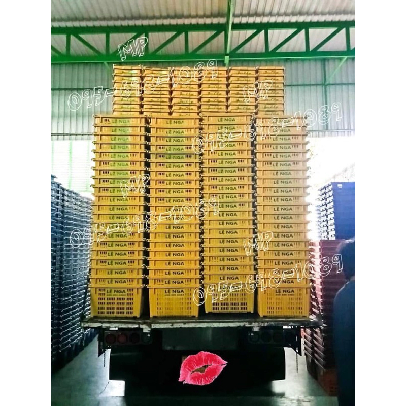 💛ลังพลาสติกหูเหล็ก ตะกร้าพลาสติก ตะกร้าหูเหล็ก ใส่ผลไม้ สีเหลือง เกรดมาตรฐานอุตสาหกรรม ส่งตรงจากโรงงานผลิต