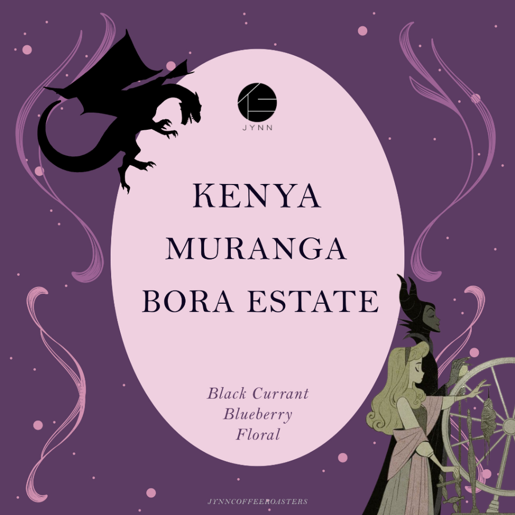 JYNN coffee roasters เมล็ดกาแฟ: Kenya Muranga Bora Eatate - 100g