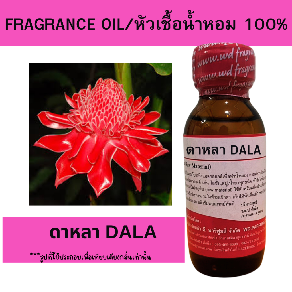 หัวน้ำหอม100% ดาหลา Dalha หัวเชื้อน้ำหอมฉีดกายและเครื่องสำอาง กลิ่นดอกไม้ สดชื่น สบู่ ครีม โลชั่น ขนาด 30 มล.
