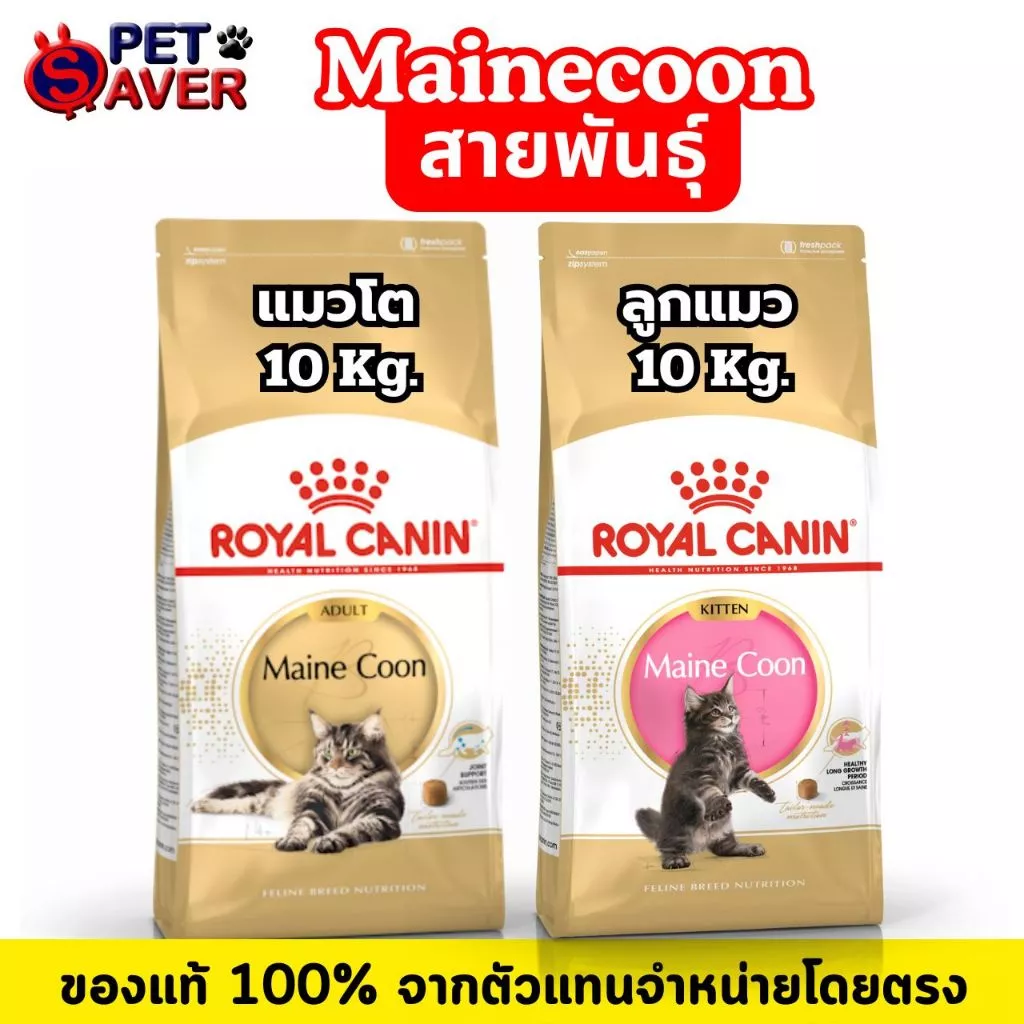*ล๊อตใหม่* Royal Canin Maine coon 10kg. แมวโต / ลูกแมว แมวสายพันธุ์ เมนคูน 10 kg. อาหารแมว mainecoon