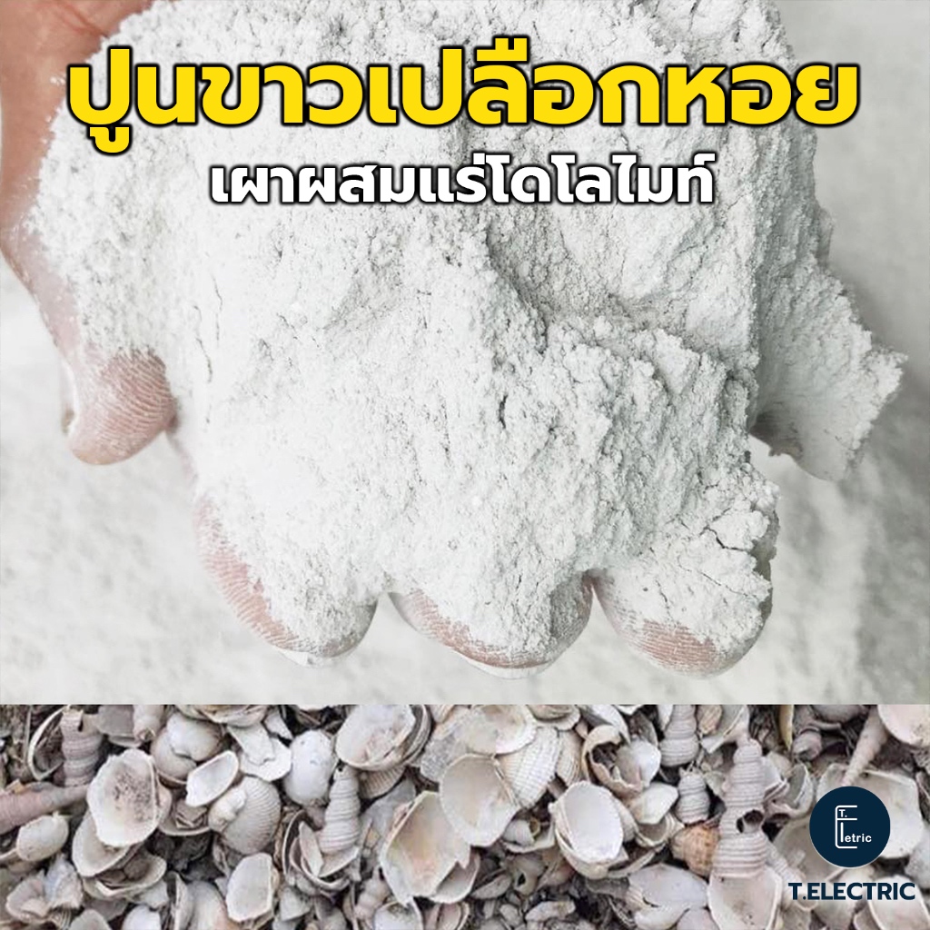 ปูนขาวเปลือกหอยเผาโดโลไมท์ 900g. บดละเอียด แก้ปัญหาพืช ฆ่าเชื้อรา ปูนขาวผสมแร่โดโลไมท์ 100% ปูนเปลือกหอยแท้