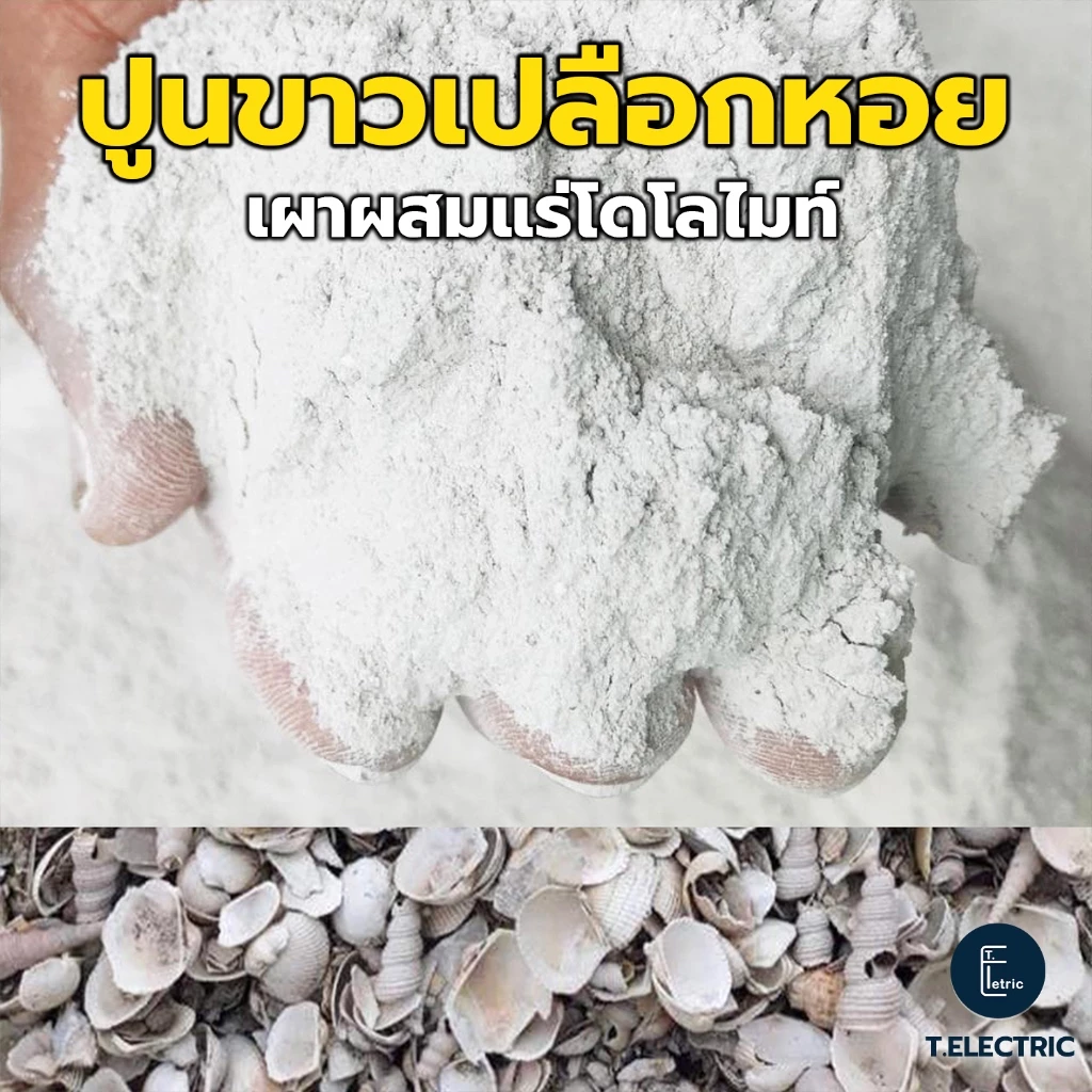 ปูนขาวเปลือกหอยเผาโดโลไมท์ 900g. บดละเอียด แก้ปัญหาพืช ฆ่าเชื้อรา ปูนขาวผสมแร่โดโลไมท์ 100% ปูนเปลือกหอยแท้