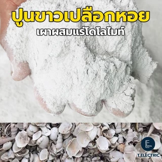ปูนขาวเปลือกหอยเผาโดโลไมท์ 900g. บดละเอียด แก้ปัญหาพืช ฆ่าเชื้อรา ปูนขาวผสมแร่โดโลไมท์ 100% ปูนเปลือกหอยแท้