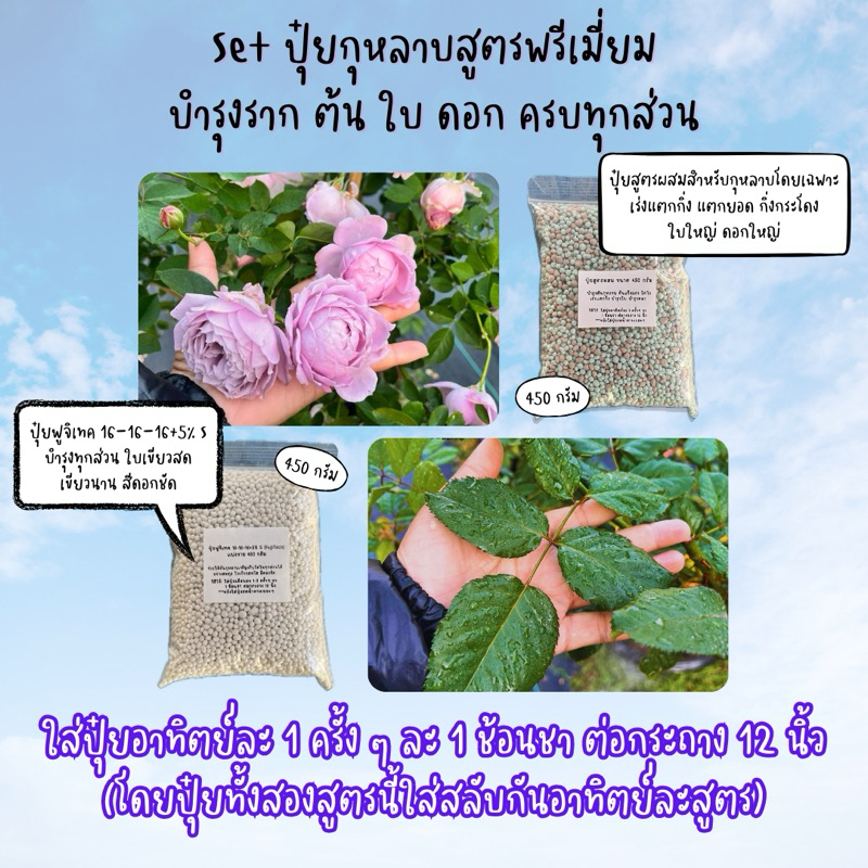 เซ็ต (Set 450 g.) ปุ๋ยบำรุงกุหลาบ 2 สูตร (ฟูจิเทค 450 กรัม + ผสม 450 กรัม)