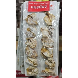 ปลาหมึกอาหารแห้ง และอีกมากมาย