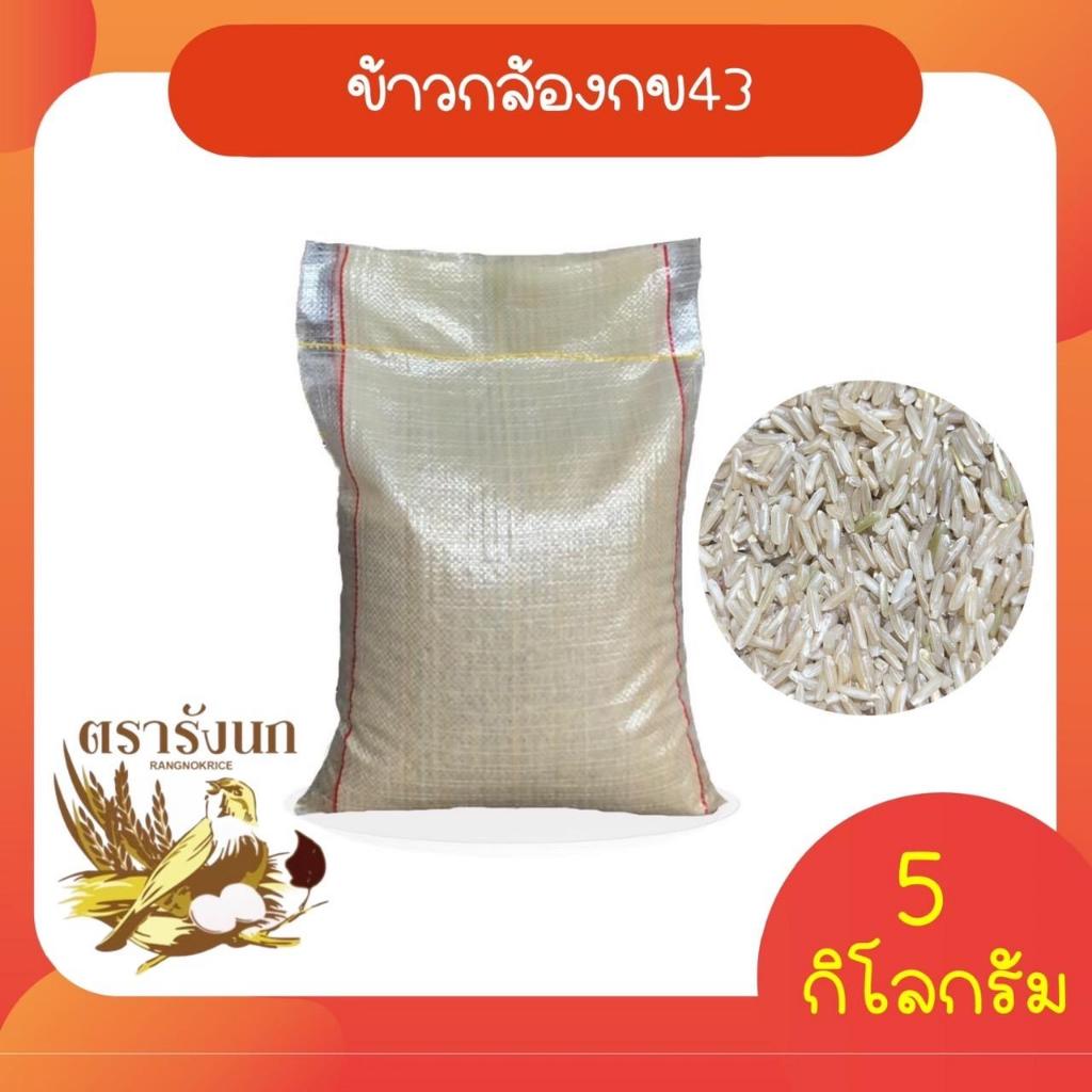 ข้าวกล้องกข43 5 กก (กระสอบ)
