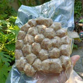 ไส้กรอกอีสาน ไส้กรอกหมูใส่ข้าวหอม หมูเน้น มันน้อย อร่อยสไตล์…