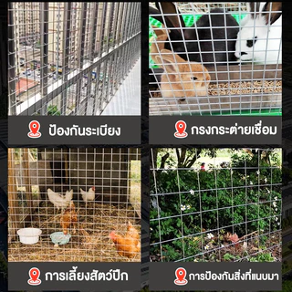 ลวดตาข่ายสี่เหลี่ยมชุบกัลวาไนซ์(ชุบร้อน) ไม่เป็นสนิม ลวดตะแกรง ลวดตาข่าย กรงไก่ กรงนก กันหนู กันงู ล้อมต้นไม้ ปูกำแพง