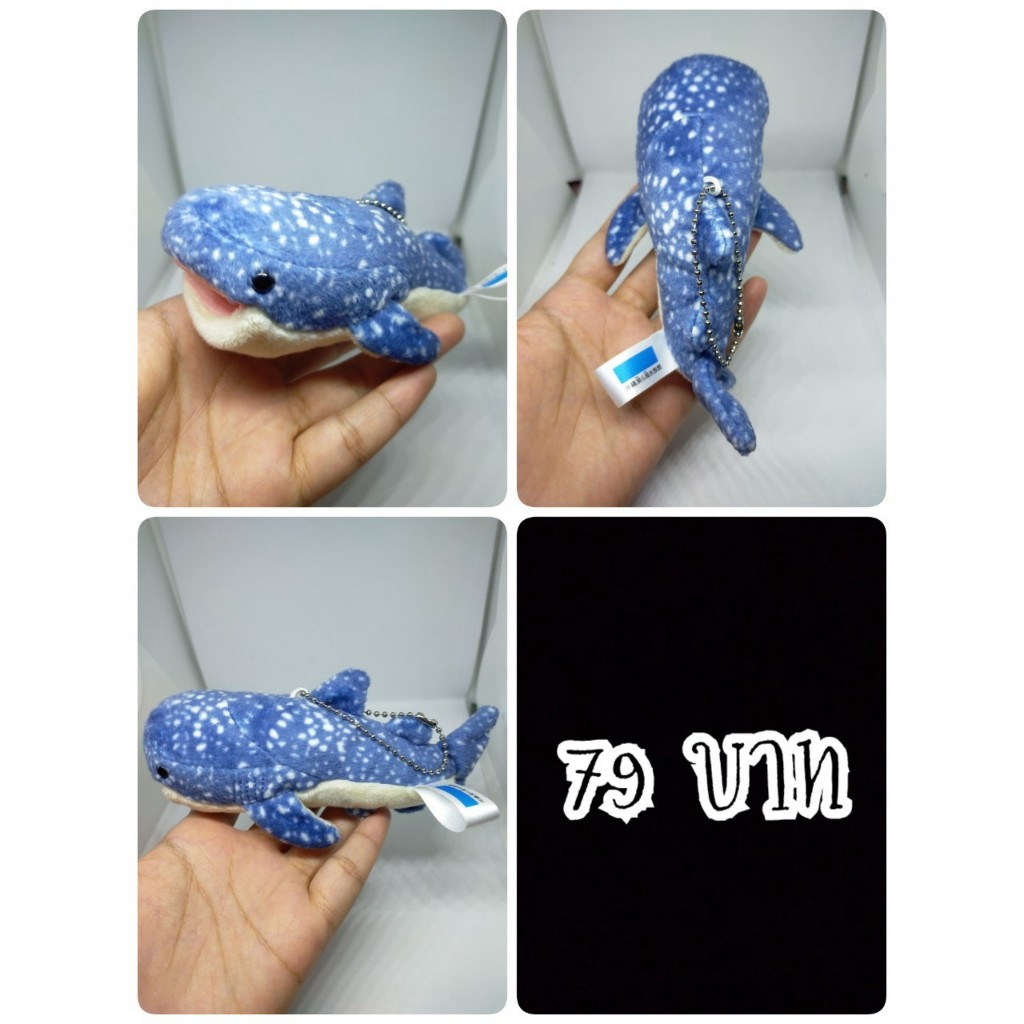 Whale Shark#ฉลามวาฬ#ปลา#Okinawa Churaumi Aquarium#งานพวงญี่ปุ่นมือสอง