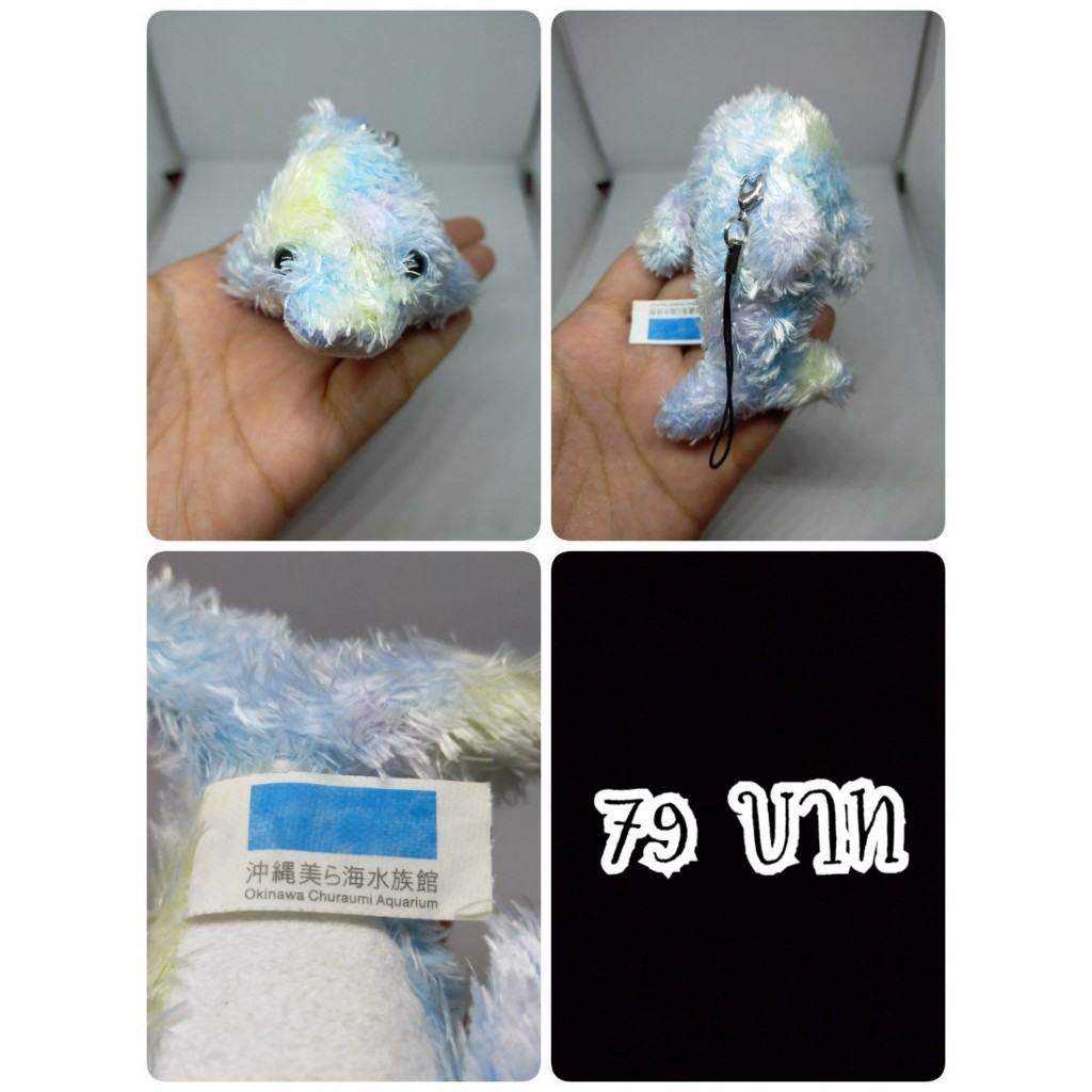 Dolphin#โลมา#ปลาโลมา#ปลา#Okinawa Churaumi Aquarium#ป้ายไม่ค่อยสวย#งานพวงญี่ปุ่นมือสอง