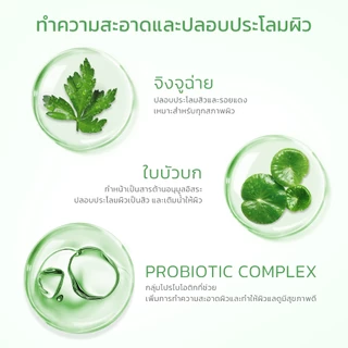 SKINTIFIC Mugwort Purifying Micellar Water สคินทิฟฟิค มัควอร์ธ เพียวริฟายอิ้ง ไมเซล่า วอเตอร์
