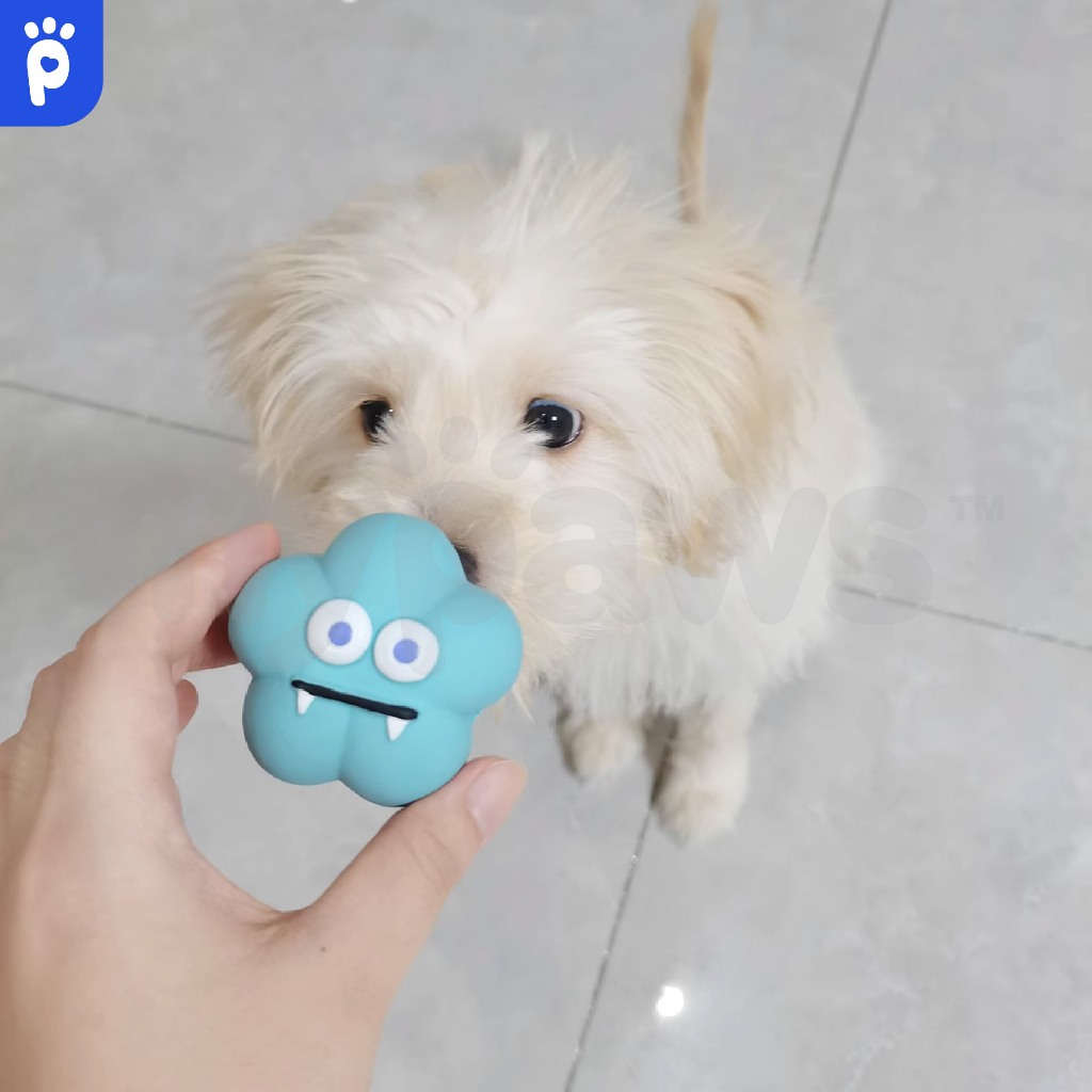 My Paws ของเล่นยางกัดสุนัขzoo ของเล่นหมาแบบยาง ลายน่ารักมีให้เลือกหลายแบบ กัดได้สนุกช่วยขัดฟัน - รูปที่ 7