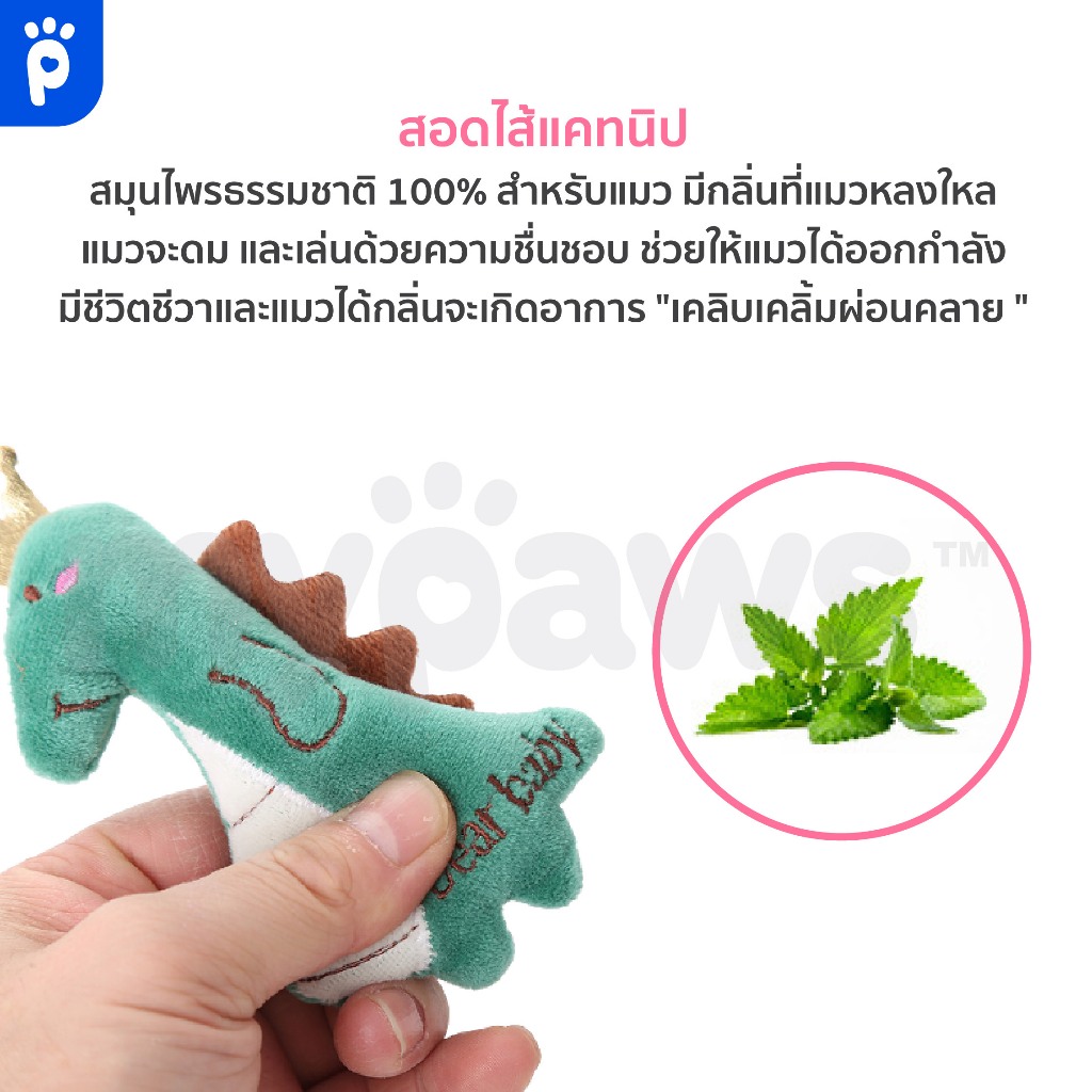 รูปภาพ 5