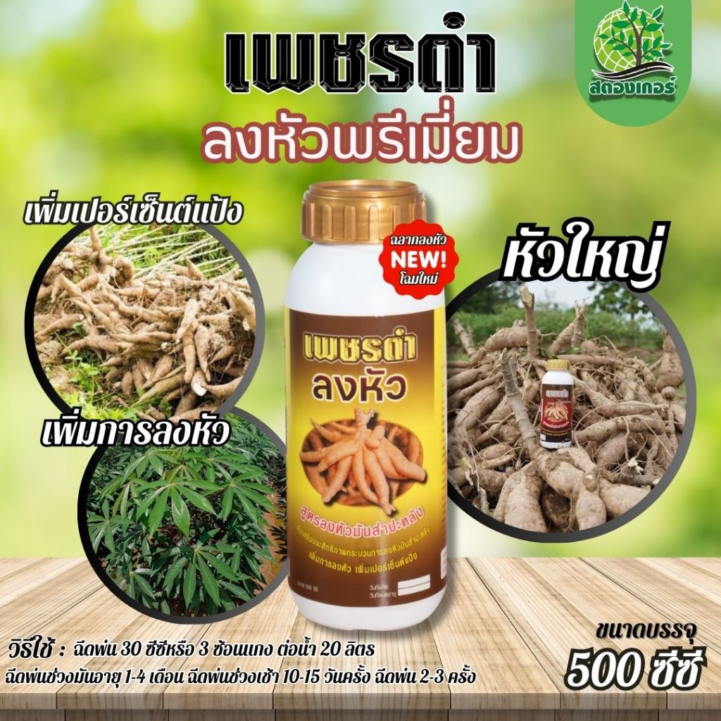 เพชรดำลงหัว🌱 เพิ่มปริมาณหัวมัน เพิ่มการลงหัวมัน เพิ่มเปอร์เซ็นต์แป้งสูง ขนาด500cc.
