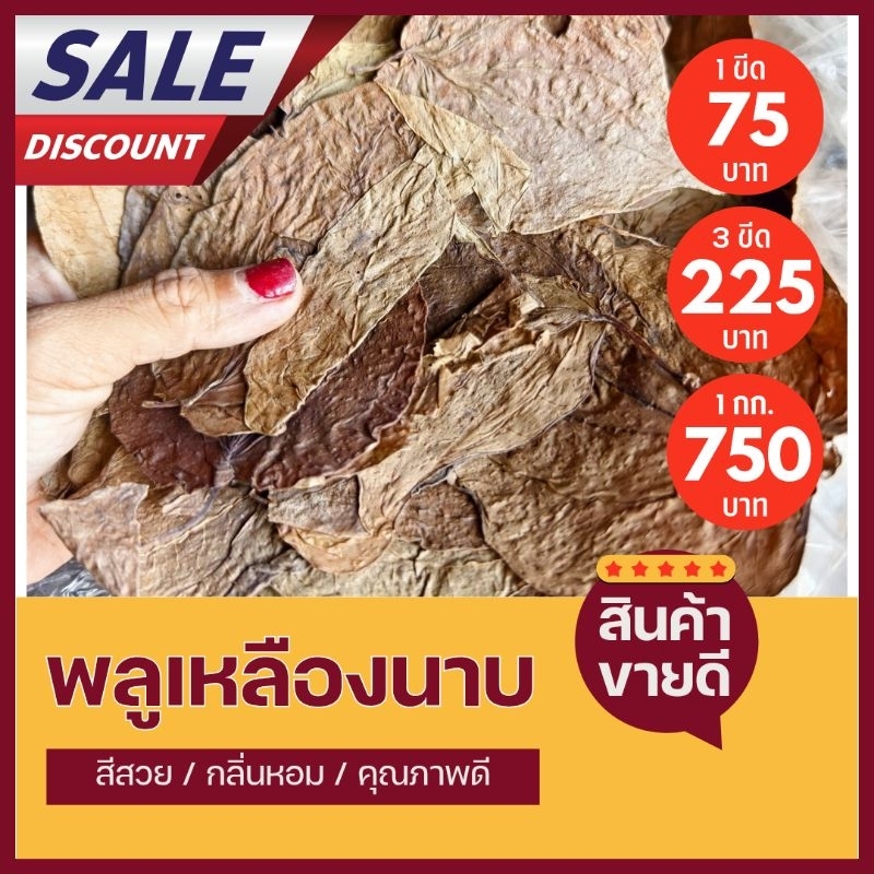พลูนาบแห้งคละใบขีดละ50บาท