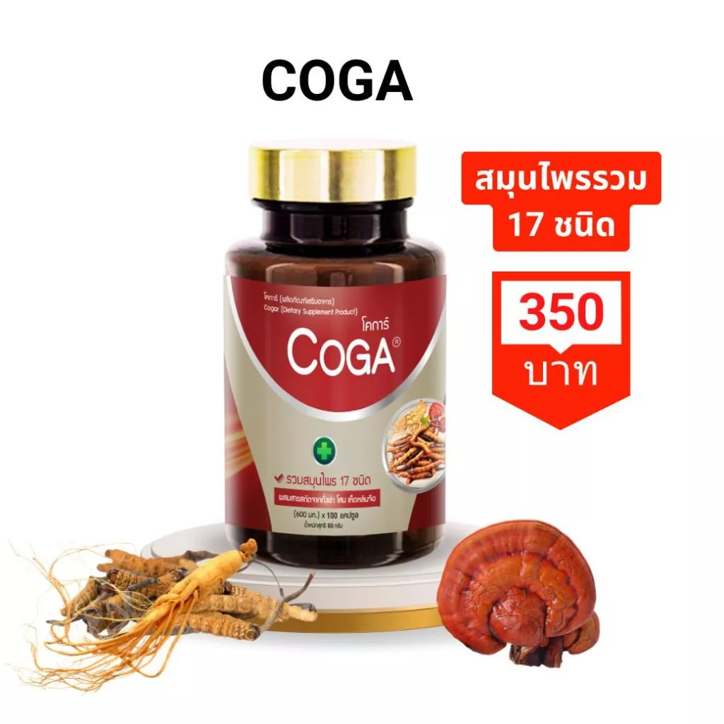 Coga (100เม็ด/กป.) สมุนไพรรวม 17 ชนิด วิตามิน อาหารเสริม ถั่งเช่า โสม หลินจือ