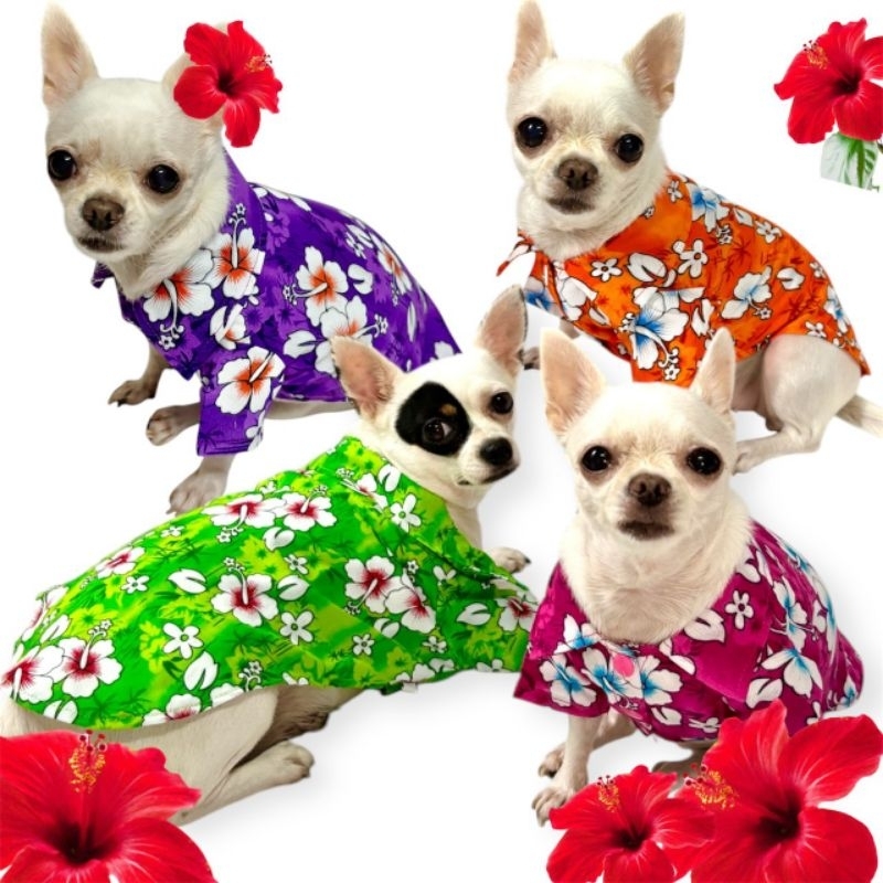 เสื้อลายดอกสงกรานต์ ดอกชบา สุนัข/แมว พร้อมส่งจาก กทม