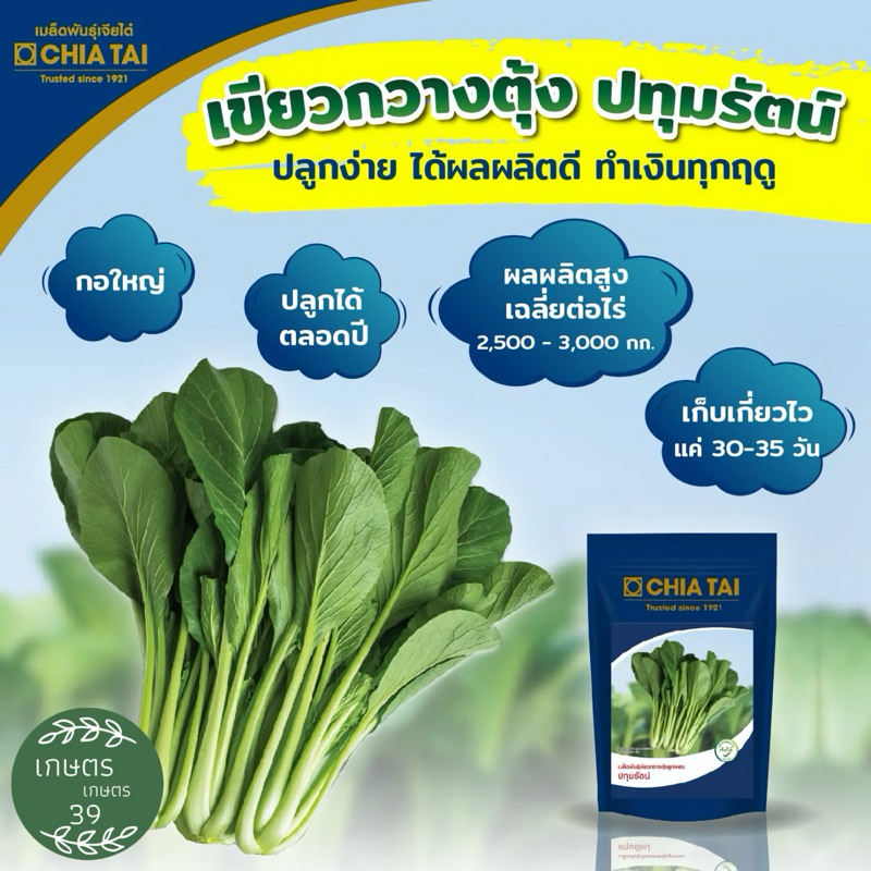 เจียไต๋ เมล็ดเขียวกวางตุ้งพันธุ์ปทุมรัตน์ กวางตุ้งลูกผสม
