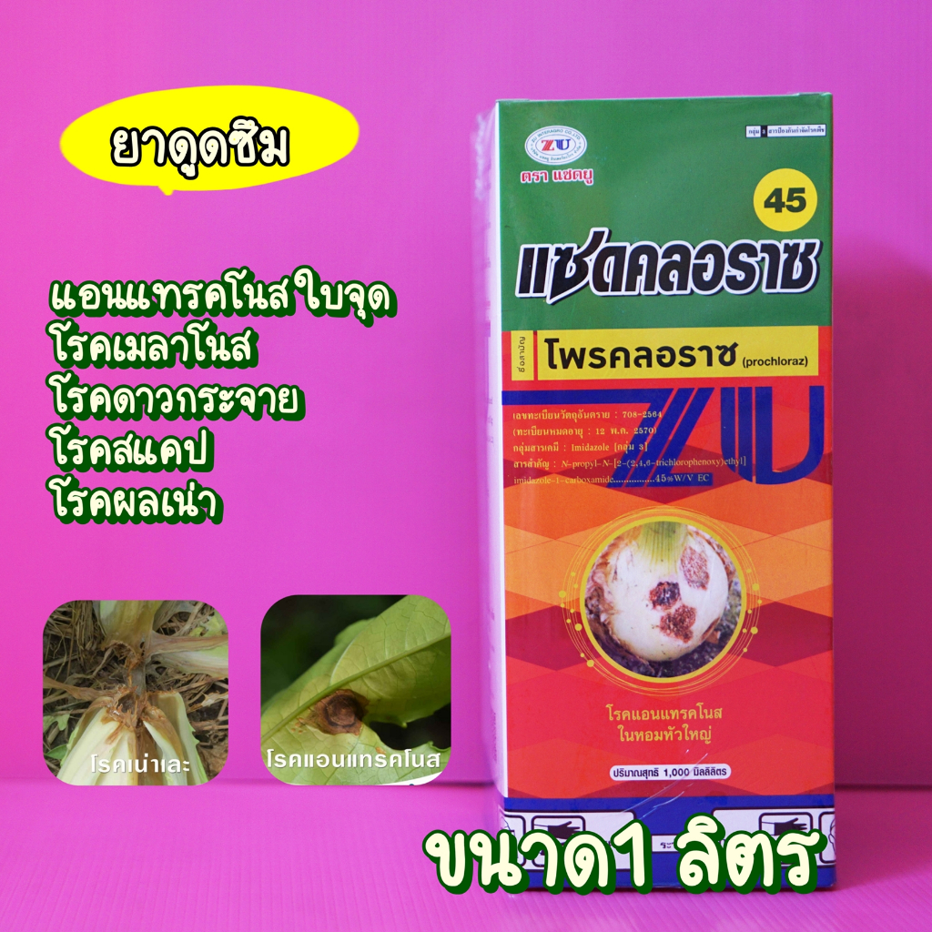โพรคลอราซ โพรคลอราช #แซดคลอราซ แก้โรคเน่าช่อดอกดำ เชื้อราพืช แอนแทรกโนส ราดำ ราแป้ง ใบจุด ผลเน่า 1 ลิตร
