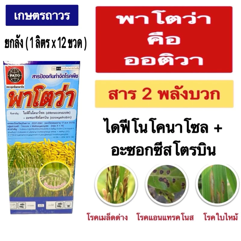 พาโตว่า🔥🔥ราคายกลัง(1 ลิตรx12ขวด)กดออเดอร์แค่1ลังนะคะ ป้องกันและรักษาโรคใบติด โรคไหม้ แอนแทรคโนส ใช้ได้ทั้งนาข้าว และสวน