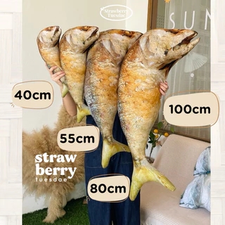 🐟ตุ๊กตาปลาทู หมอนข้างปลาทู เหมือนจริงมาก ปลาทูตัวใหญ่ ของเล่นแมว ราคาถูก 🧺พร้อมส่ง มีเก็บปลายทาง🚚