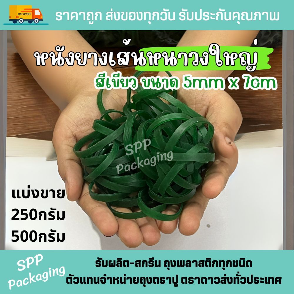 (แบ่งขาย) หนังยางรัดของ เส้นหนา สีเขียว กว้าง5mm วงใหญ่ 7cm รัดเอกสาร (250กรัม/500กรัม)