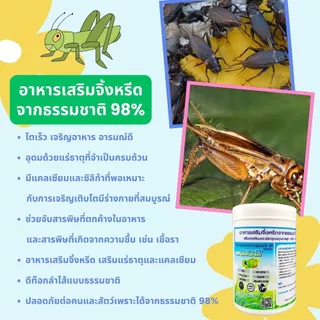 CRICKET(คริกเก็ต)1,000กรัมอาหารเสริมจิ้งหรีดและสัตว์เล็กจากแร่ธาตุรวมและเเคลเซียมเสริม